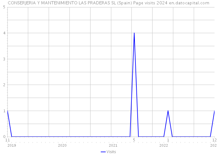CONSERJERIA Y MANTENIMIENTO LAS PRADERAS SL (Spain) Page visits 2024 