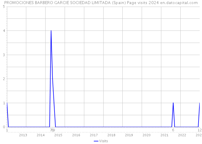 PROMOCIONES BARBERO GARCIE SOCIEDAD LIMITADA (Spain) Page visits 2024 