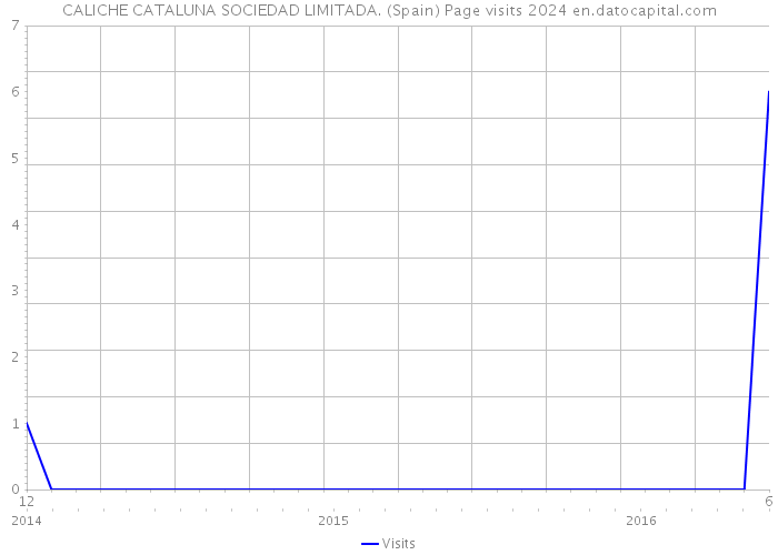 CALICHE CATALUNA SOCIEDAD LIMITADA. (Spain) Page visits 2024 