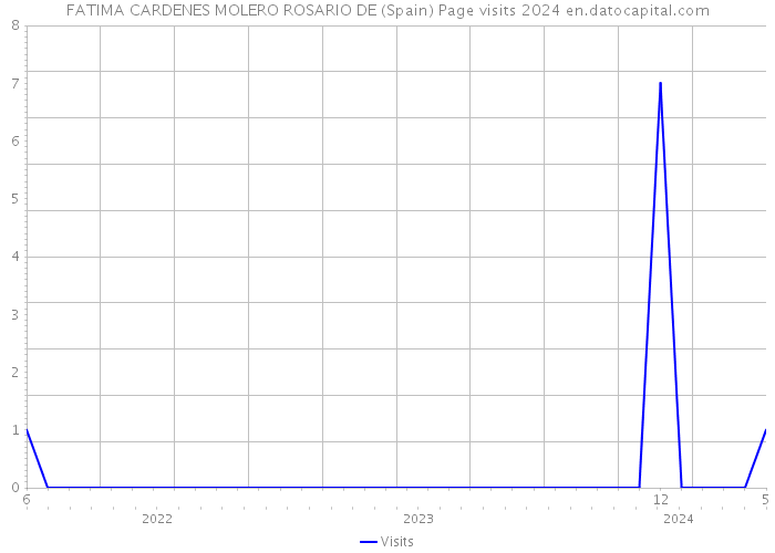 FATIMA CARDENES MOLERO ROSARIO DE (Spain) Page visits 2024 
