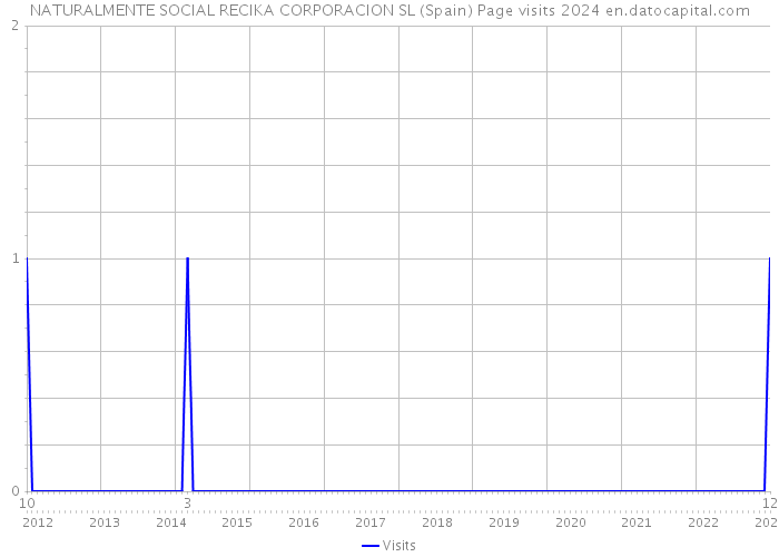 NATURALMENTE SOCIAL RECIKA CORPORACION SL (Spain) Page visits 2024 