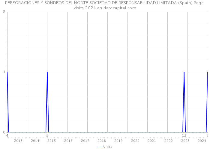 PERFORACIONES Y SONDEOS DEL NORTE SOCIEDAD DE RESPONSABILIDAD LIMITADA (Spain) Page visits 2024 