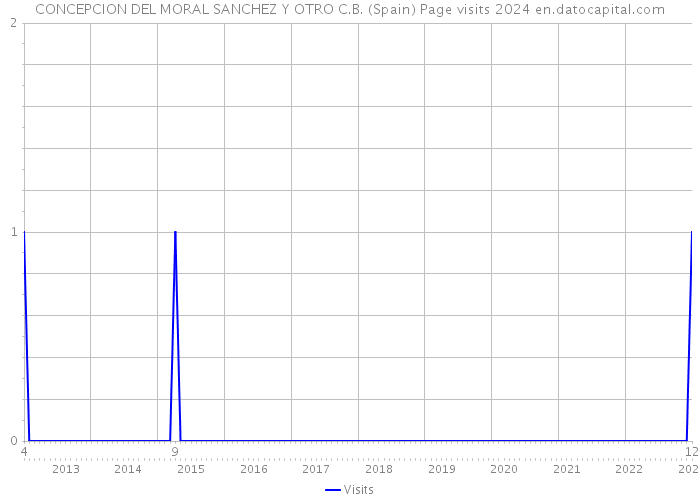 CONCEPCION DEL MORAL SANCHEZ Y OTRO C.B. (Spain) Page visits 2024 