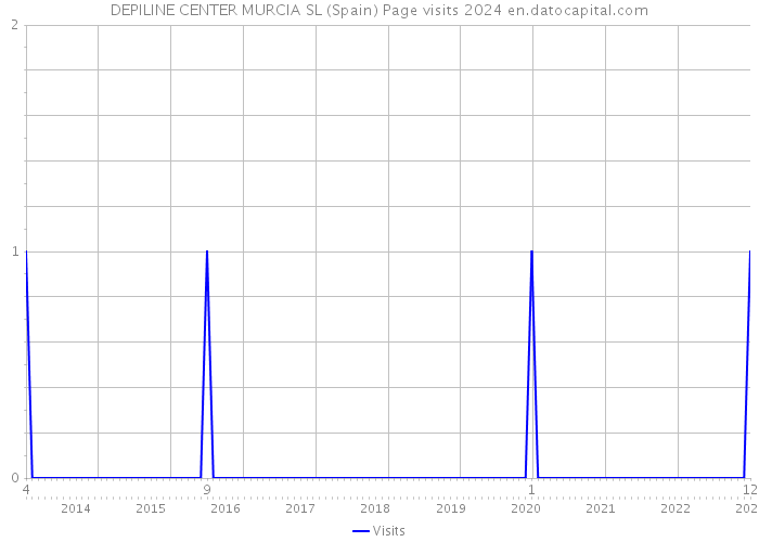 DEPILINE CENTER MURCIA SL (Spain) Page visits 2024 