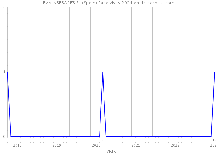 FVM ASESORES SL (Spain) Page visits 2024 