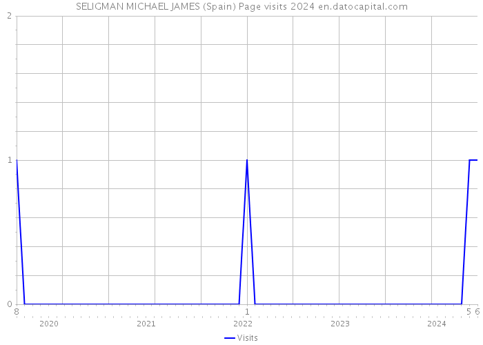 SELIGMAN MICHAEL JAMES (Spain) Page visits 2024 