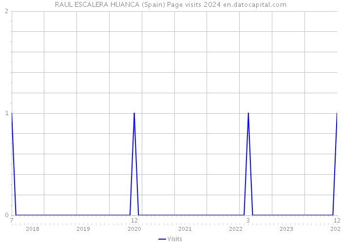 RAUL ESCALERA HUANCA (Spain) Page visits 2024 