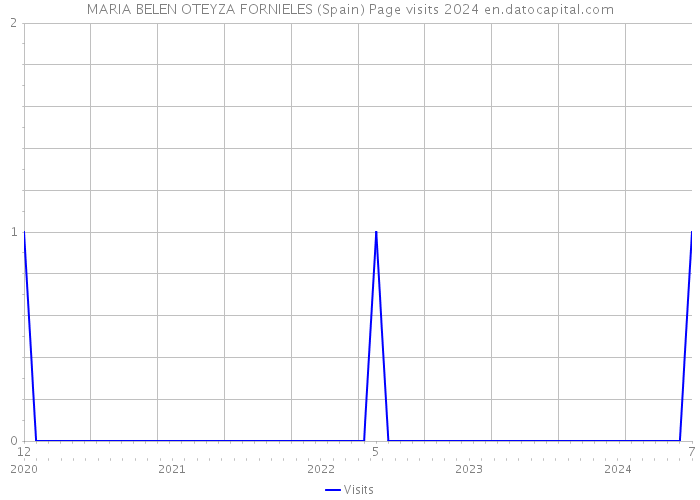 MARIA BELEN OTEYZA FORNIELES (Spain) Page visits 2024 