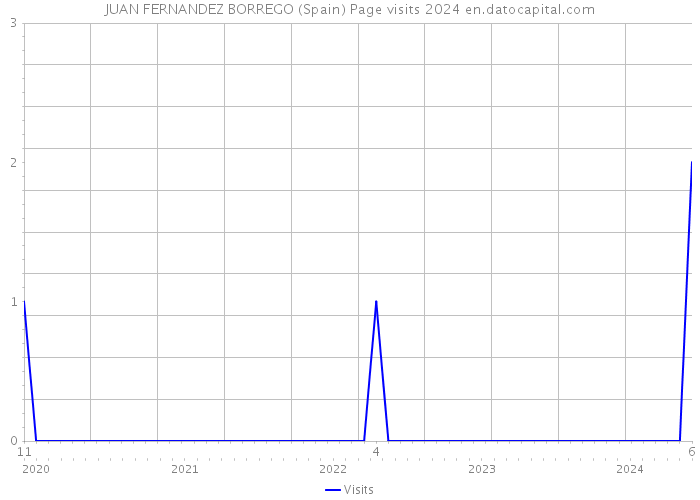 JUAN FERNANDEZ BORREGO (Spain) Page visits 2024 