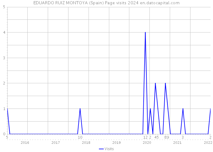 EDUARDO RUIZ MONTOYA (Spain) Page visits 2024 