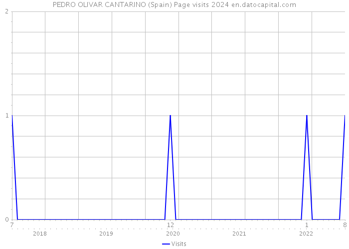 PEDRO OLIVAR CANTARINO (Spain) Page visits 2024 