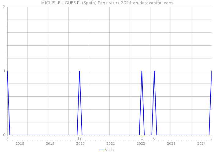 MIGUEL BUIGUES PI (Spain) Page visits 2024 