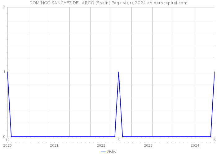 DOMINGO SANCHEZ DEL ARCO (Spain) Page visits 2024 