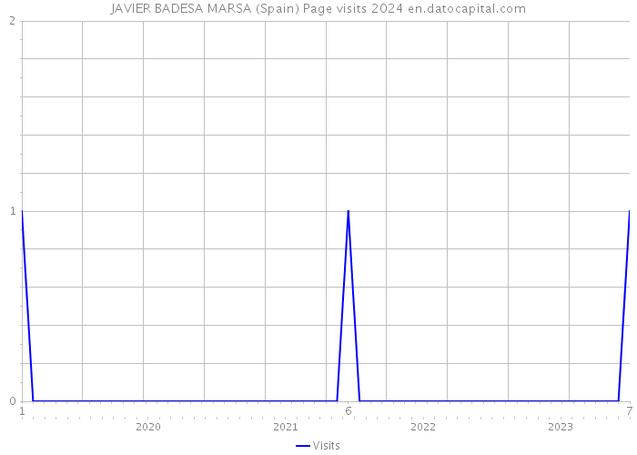 JAVIER BADESA MARSA (Spain) Page visits 2024 