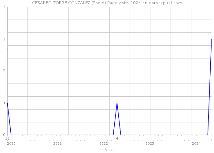 CESAREO TORRE GONZALEZ (Spain) Page visits 2024 