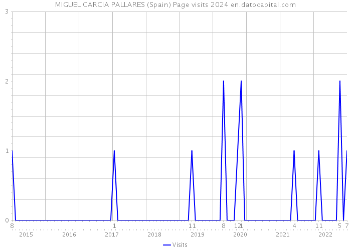 MIGUEL GARCIA PALLARES (Spain) Page visits 2024 