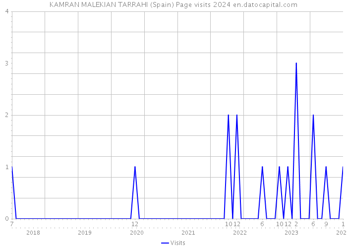 KAMRAN MALEKIAN TARRAHI (Spain) Page visits 2024 