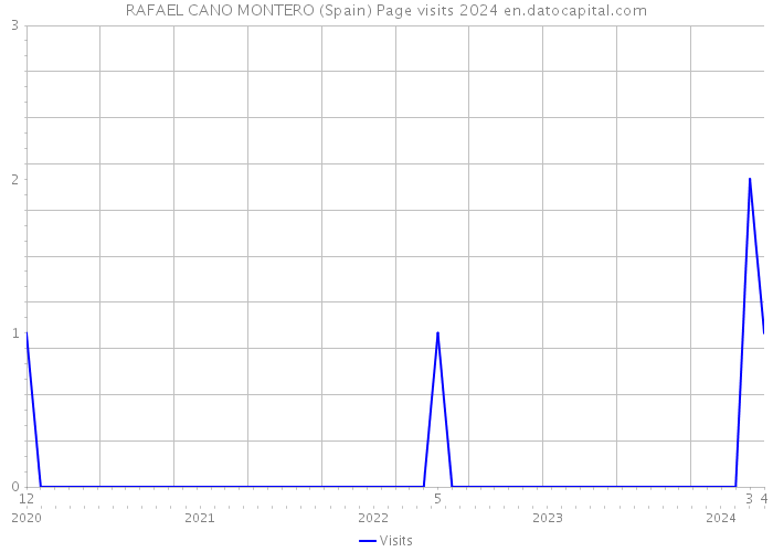 RAFAEL CANO MONTERO (Spain) Page visits 2024 