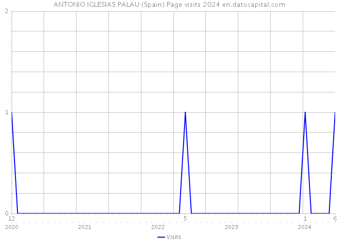 ANTONIO IGLESIAS PALAU (Spain) Page visits 2024 