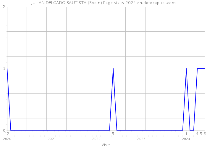 JULIAN DELGADO BAUTISTA (Spain) Page visits 2024 