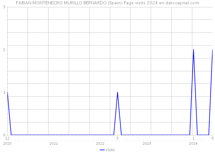 FABIAN MONTENEGRO MURILLO BERNARDO (Spain) Page visits 2024 