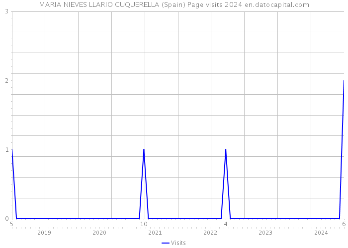 MARIA NIEVES LLARIO CUQUERELLA (Spain) Page visits 2024 