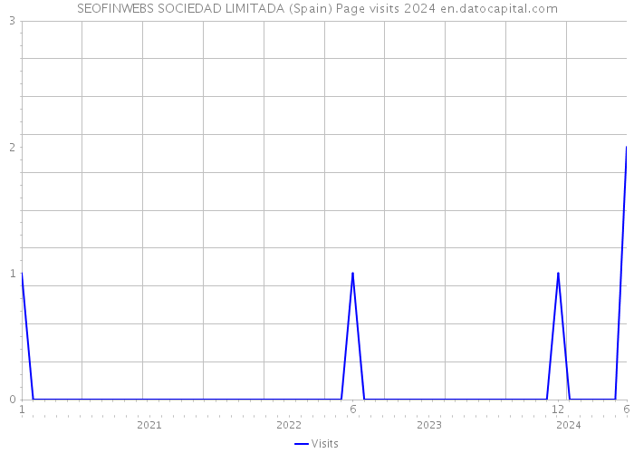 SEOFINWEBS SOCIEDAD LIMITADA (Spain) Page visits 2024 