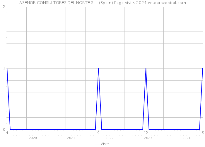 ASENOR CONSULTORES DEL NORTE S.L. (Spain) Page visits 2024 