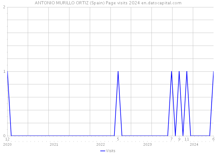 ANTONIO MURILLO ORTIZ (Spain) Page visits 2024 