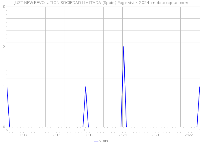 JUST NEW REVOLUTION SOCIEDAD LIMITADA (Spain) Page visits 2024 