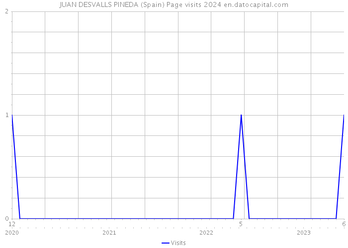 JUAN DESVALLS PINEDA (Spain) Page visits 2024 