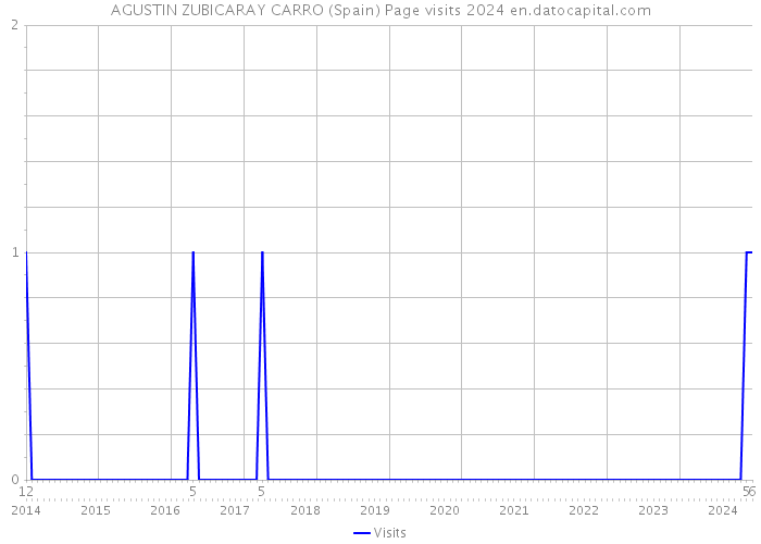 AGUSTIN ZUBICARAY CARRO (Spain) Page visits 2024 