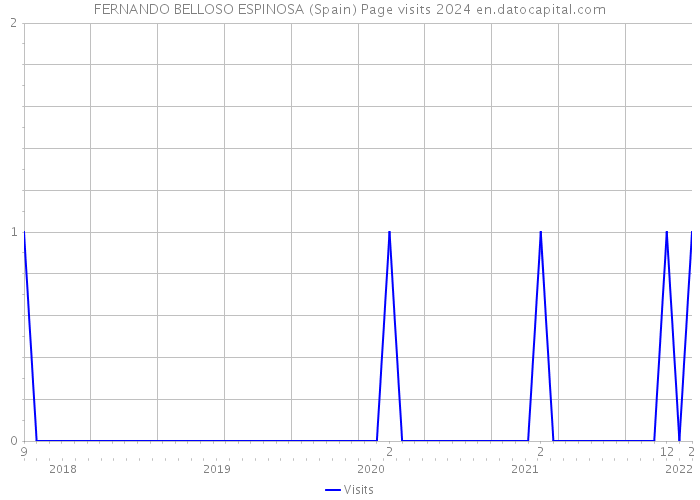 FERNANDO BELLOSO ESPINOSA (Spain) Page visits 2024 