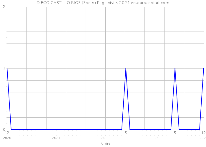 DIEGO CASTILLO RIOS (Spain) Page visits 2024 