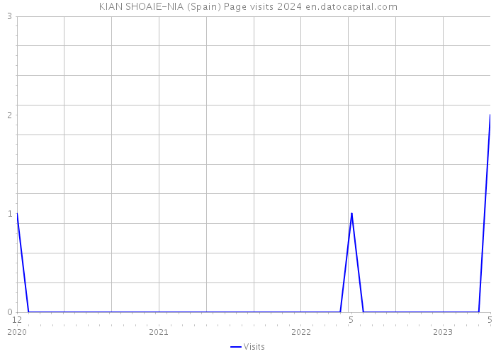 KIAN SHOAIE-NIA (Spain) Page visits 2024 