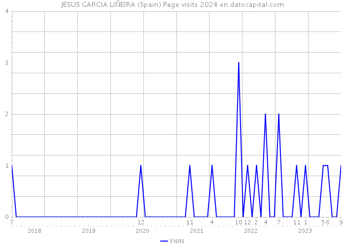 JESUS GARCIA LIÑEIRA (Spain) Page visits 2024 