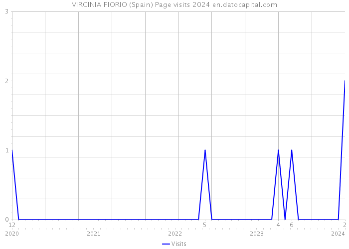 VIRGINIA FIORIO (Spain) Page visits 2024 