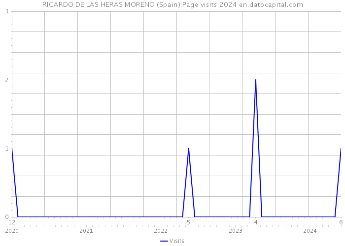 RICARDO DE LAS HERAS MORENO (Spain) Page visits 2024 