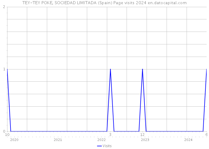 TEY-TEY POKE, SOCIEDAD LIMITADA (Spain) Page visits 2024 