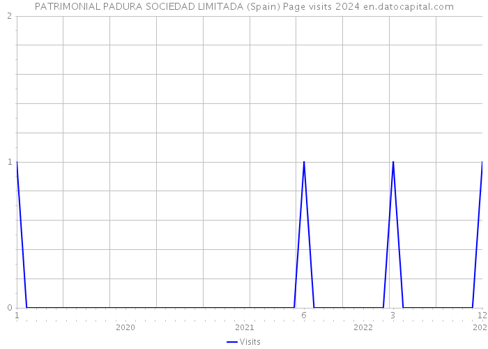 PATRIMONIAL PADURA SOCIEDAD LIMITADA (Spain) Page visits 2024 
