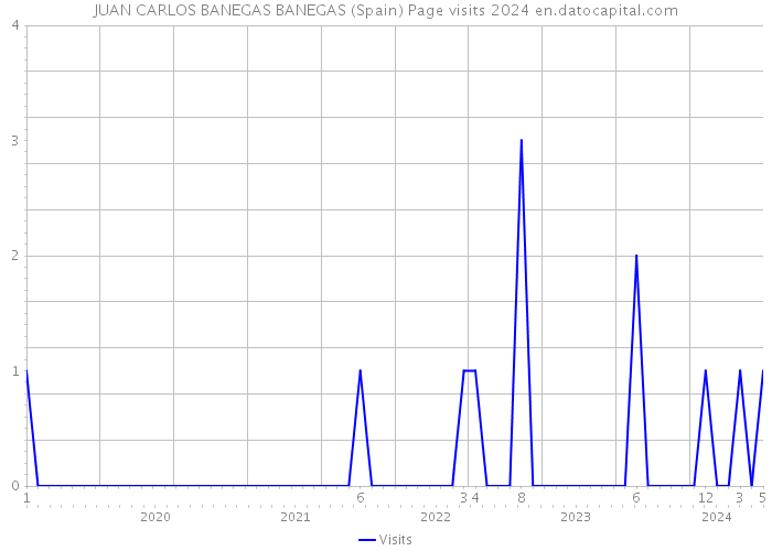 JUAN CARLOS BANEGAS BANEGAS (Spain) Page visits 2024 
