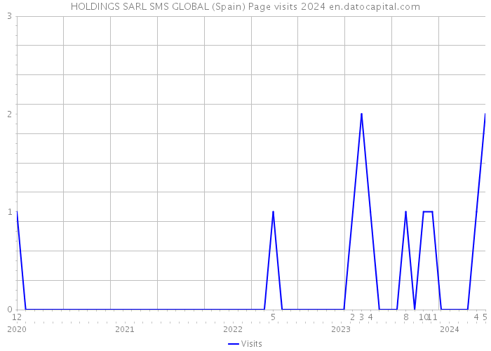 HOLDINGS SARL SMS GLOBAL (Spain) Page visits 2024 