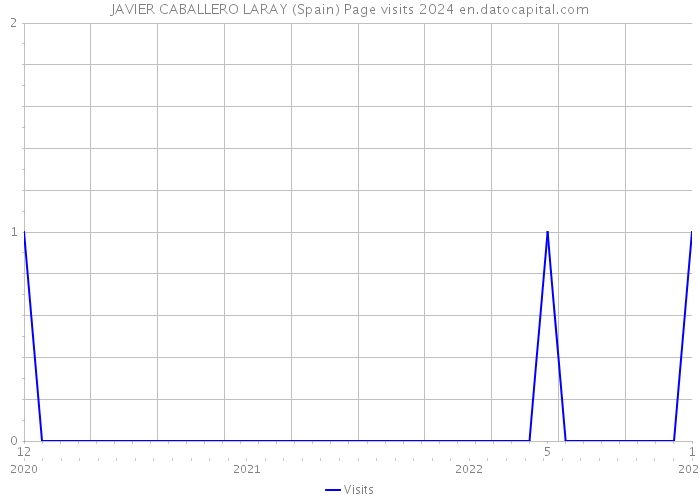 JAVIER CABALLERO LARAY (Spain) Page visits 2024 