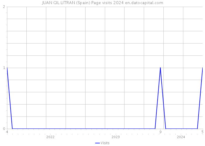 JUAN GIL LITRAN (Spain) Page visits 2024 