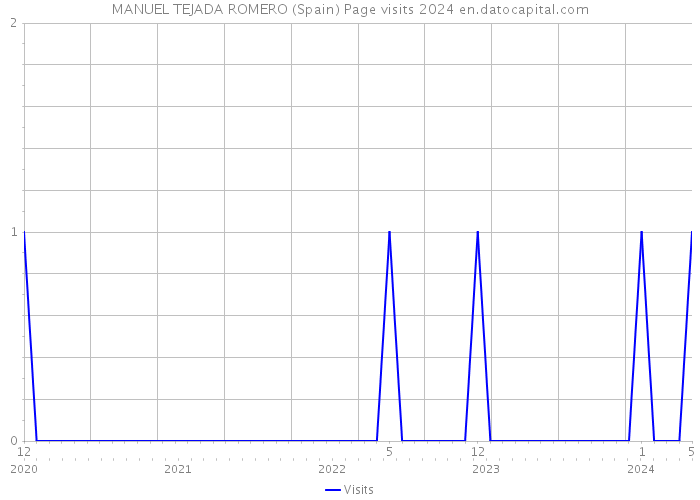 MANUEL TEJADA ROMERO (Spain) Page visits 2024 