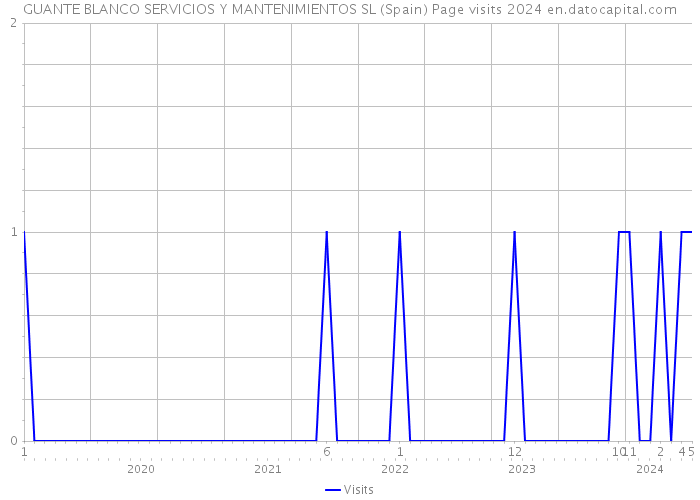 GUANTE BLANCO SERVICIOS Y MANTENIMIENTOS SL (Spain) Page visits 2024 