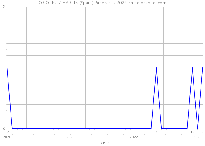 ORIOL RUIZ MARTIN (Spain) Page visits 2024 