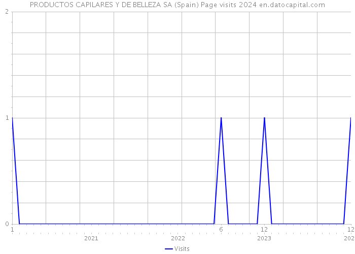 PRODUCTOS CAPILARES Y DE BELLEZA SA (Spain) Page visits 2024 