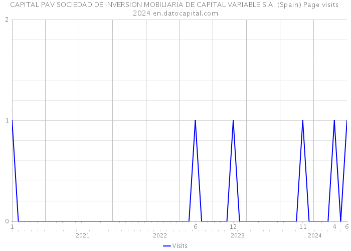 CAPITAL PAV SOCIEDAD DE INVERSION MOBILIARIA DE CAPITAL VARIABLE S.A. (Spain) Page visits 2024 