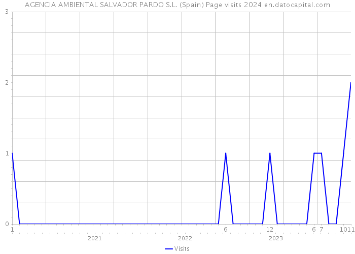 AGENCIA AMBIENTAL SALVADOR PARDO S.L. (Spain) Page visits 2024 